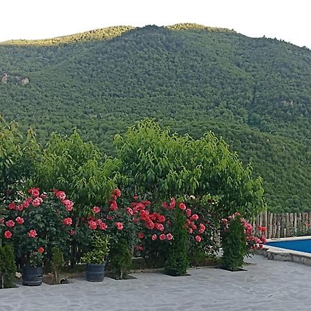 Green Garden Կանաչ Այգի ไอจ์เวิน ภายนอก รูปภาพ