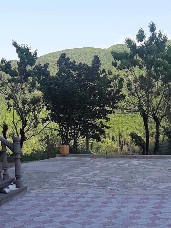 Green Garden Կանաչ Այգի ไอจ์เวิน ภายนอก รูปภาพ