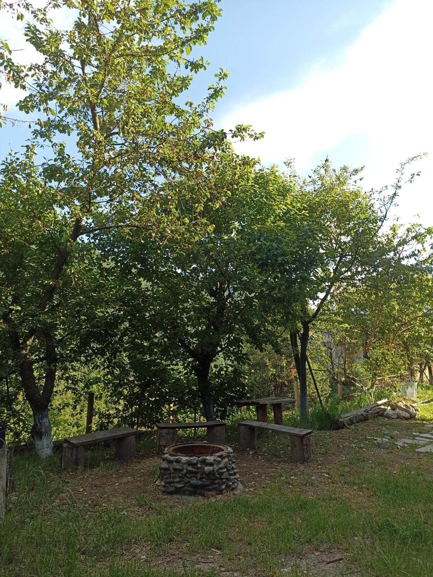 Green Garden Կանաչ Այգի ไอจ์เวิน ภายนอก รูปภาพ