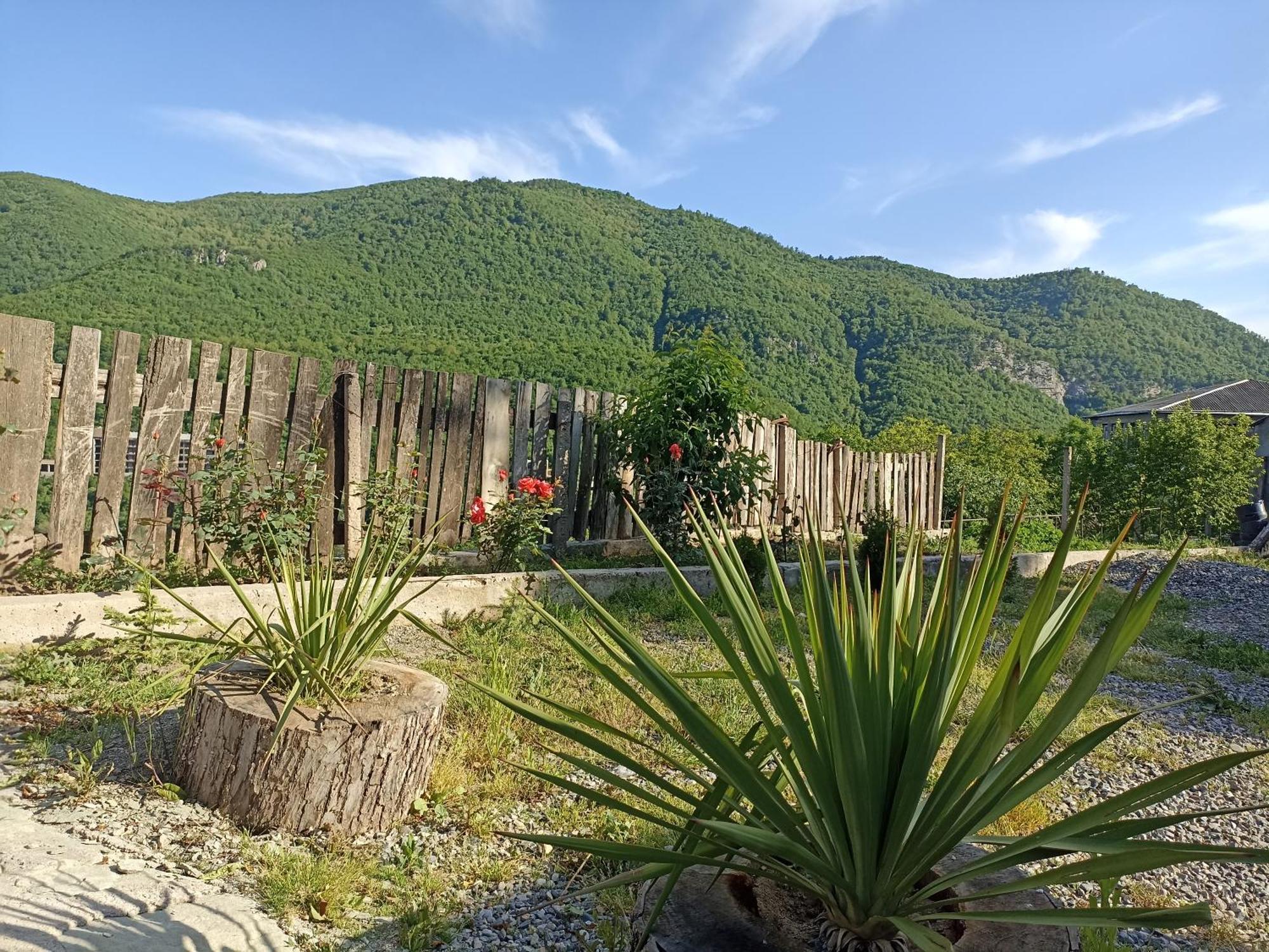 Green Garden Կանաչ Այգի ไอจ์เวิน ภายนอก รูปภาพ