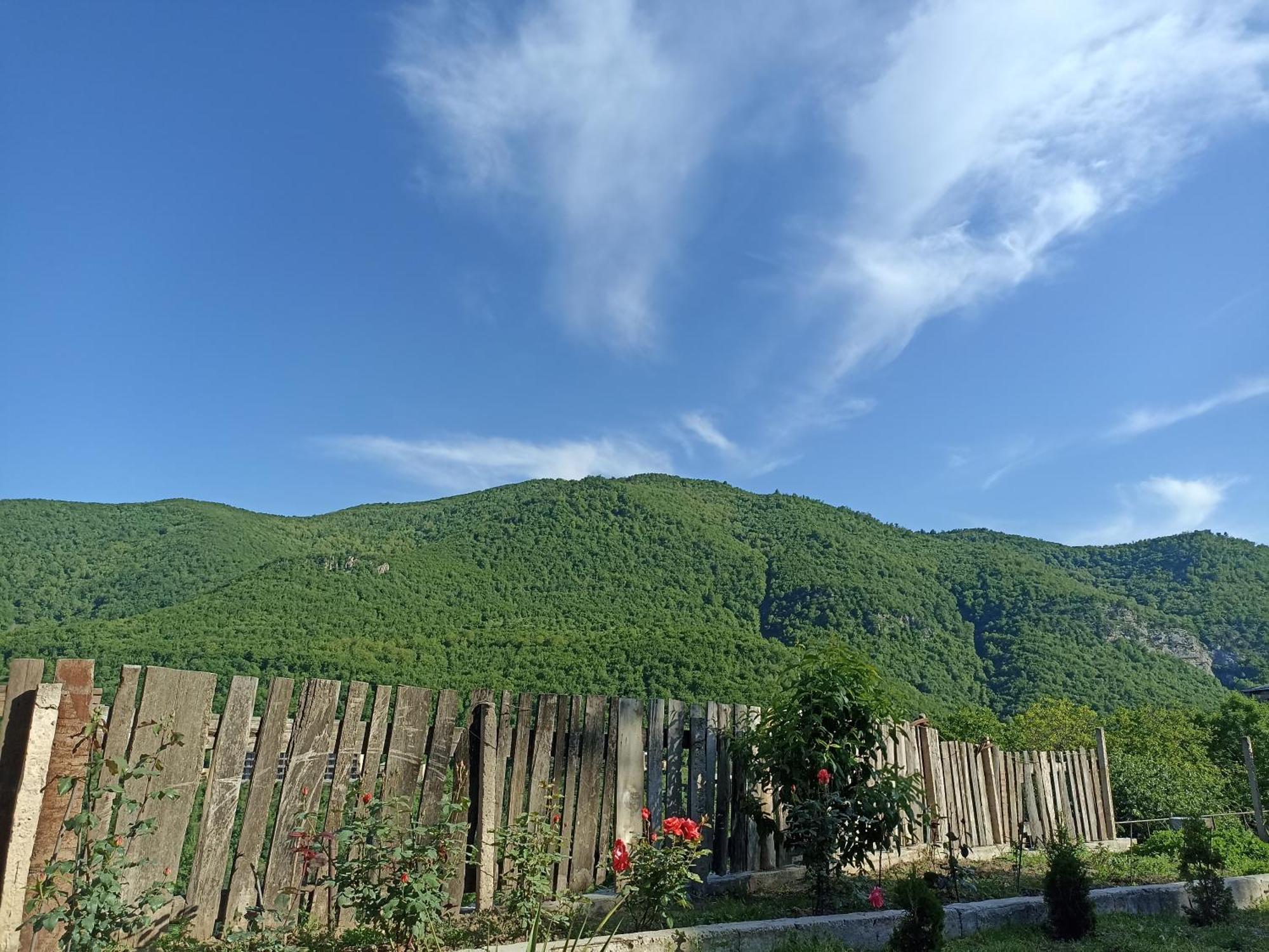 Green Garden Կանաչ Այգի ไอจ์เวิน ภายนอก รูปภาพ