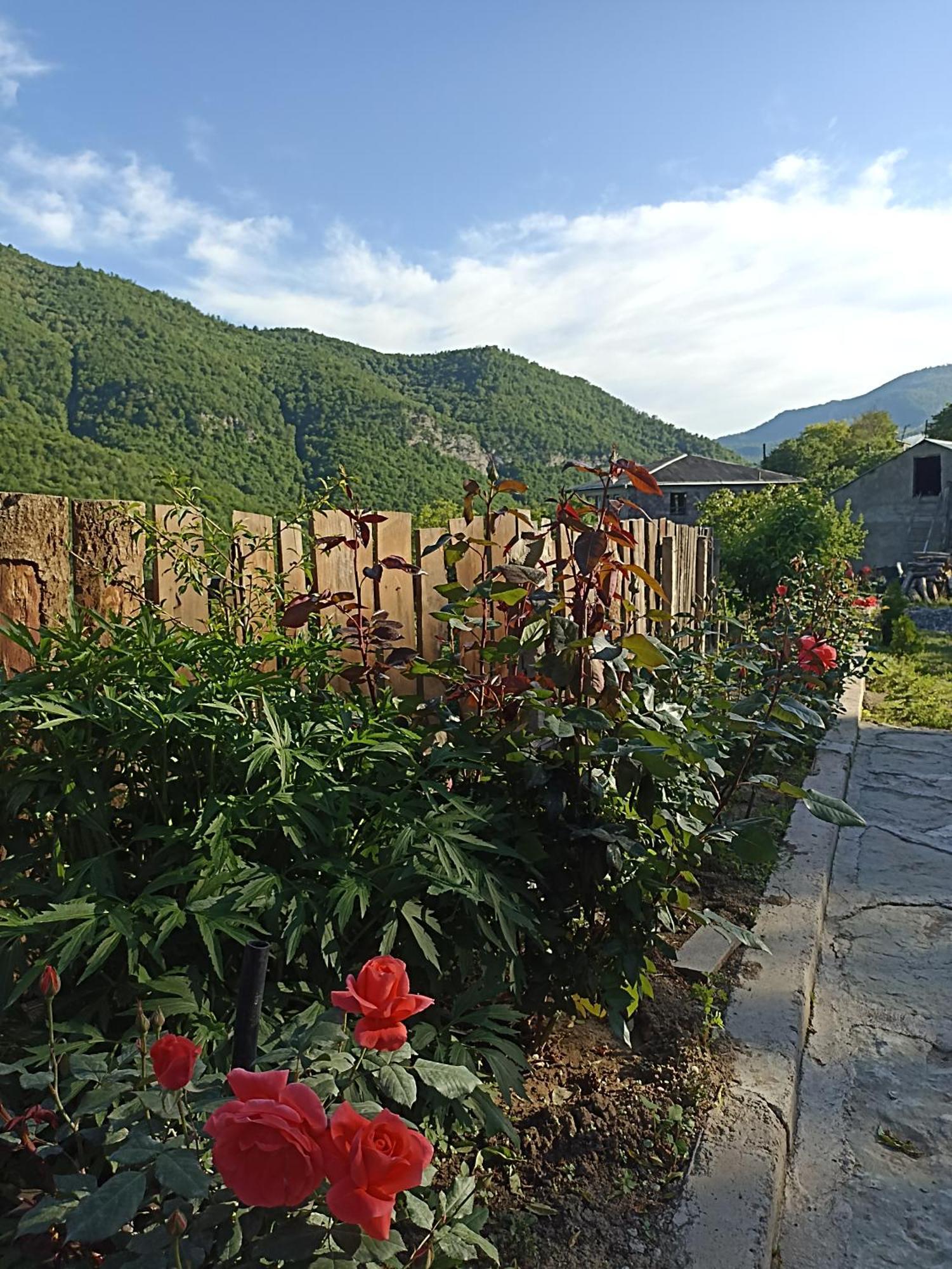Green Garden Կանաչ Այգի ไอจ์เวิน ภายนอก รูปภาพ